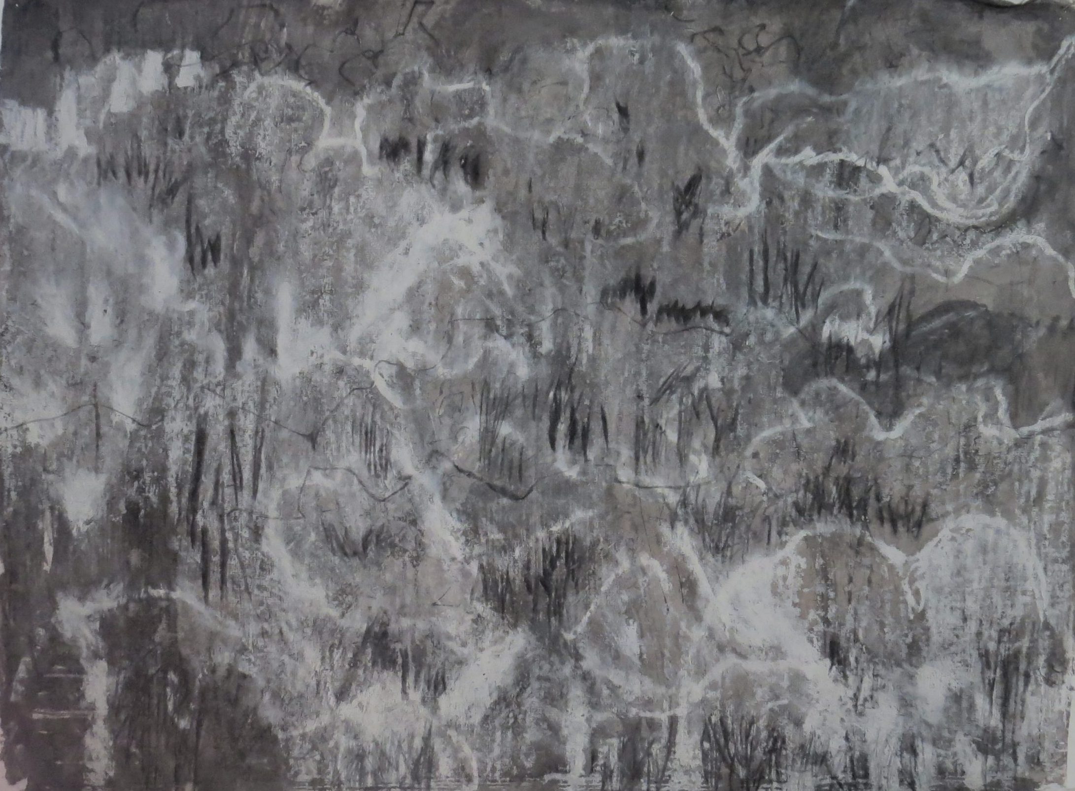 'Redbank Forest 2'