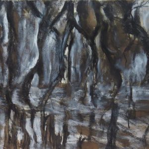 'Reflections on Moodemere'